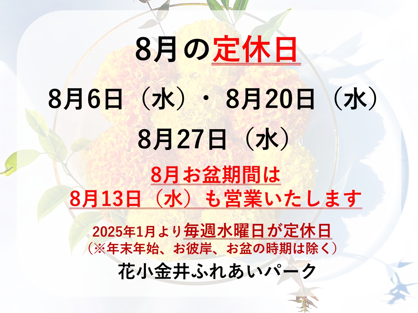 🏊8月定休日のお知らせ⛱️