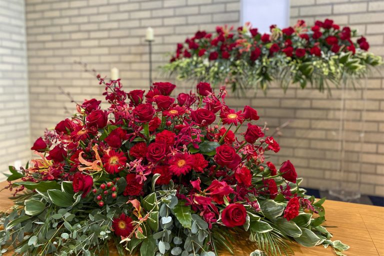 エントリープラン