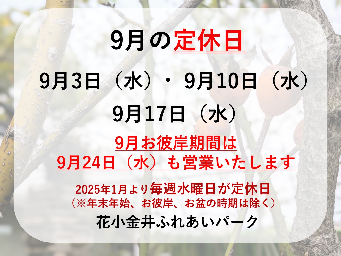 🐇9月定休日のお知らせ🎑