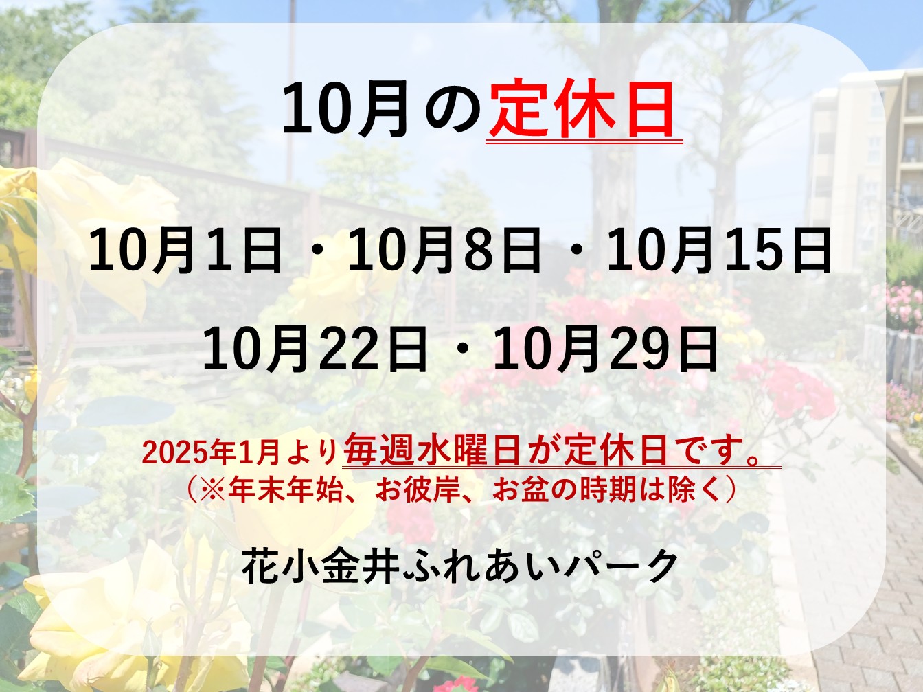 🍁10月定休日のお知らせ🎃