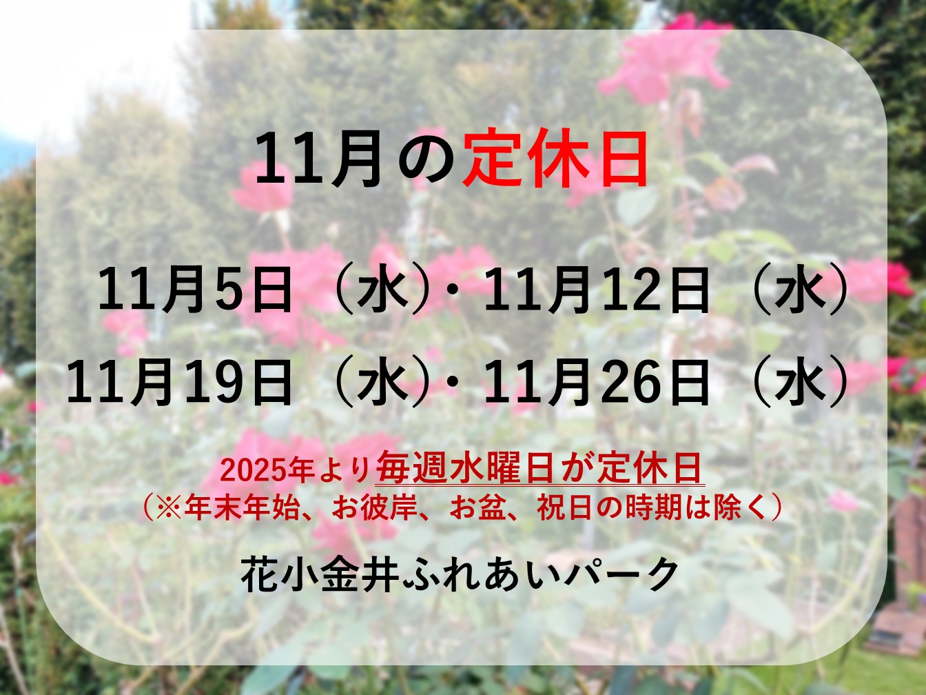 🌰11月定休日のお知らせ🍠