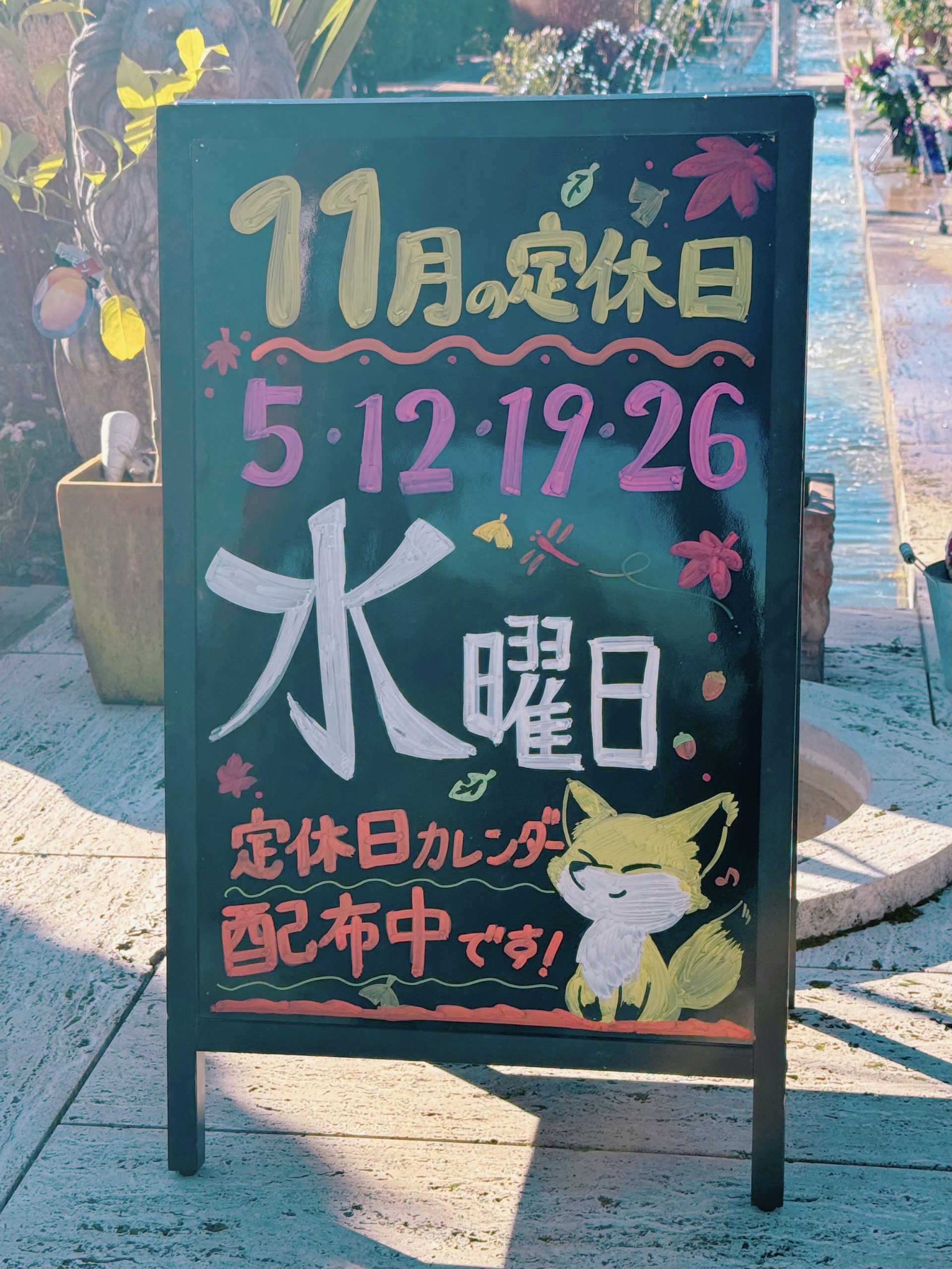 🌹園内のバラの開花状況🌹