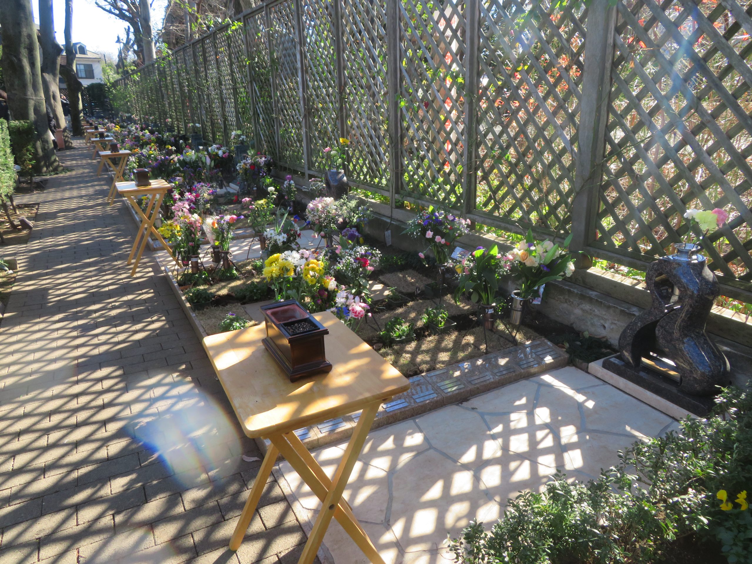 修正会 合同法要のご報告⛄