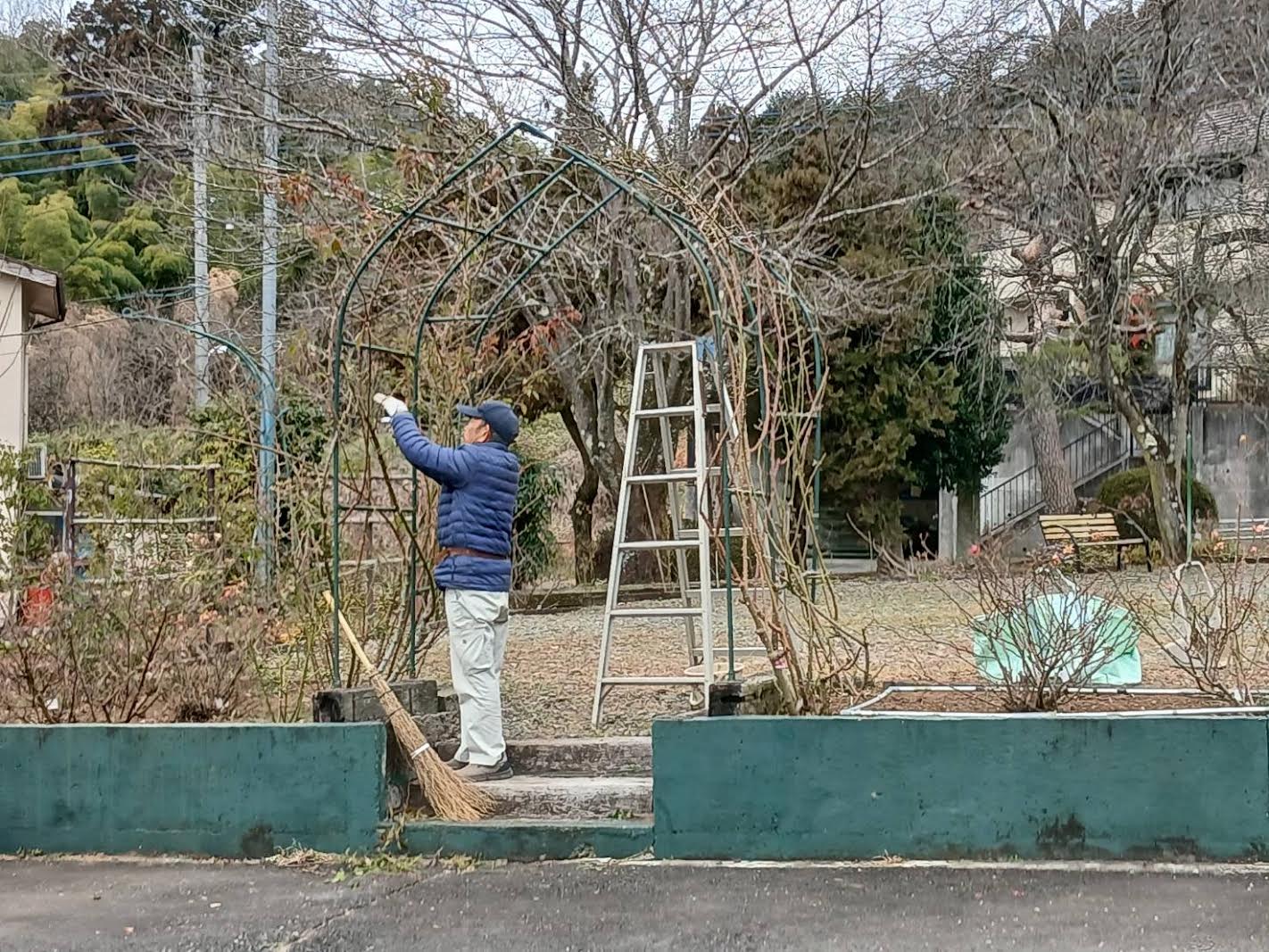剪定始めました