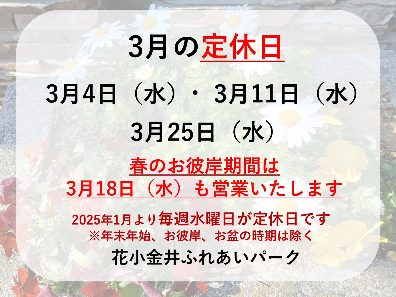 🌼3月定休日のお知らせ🌼