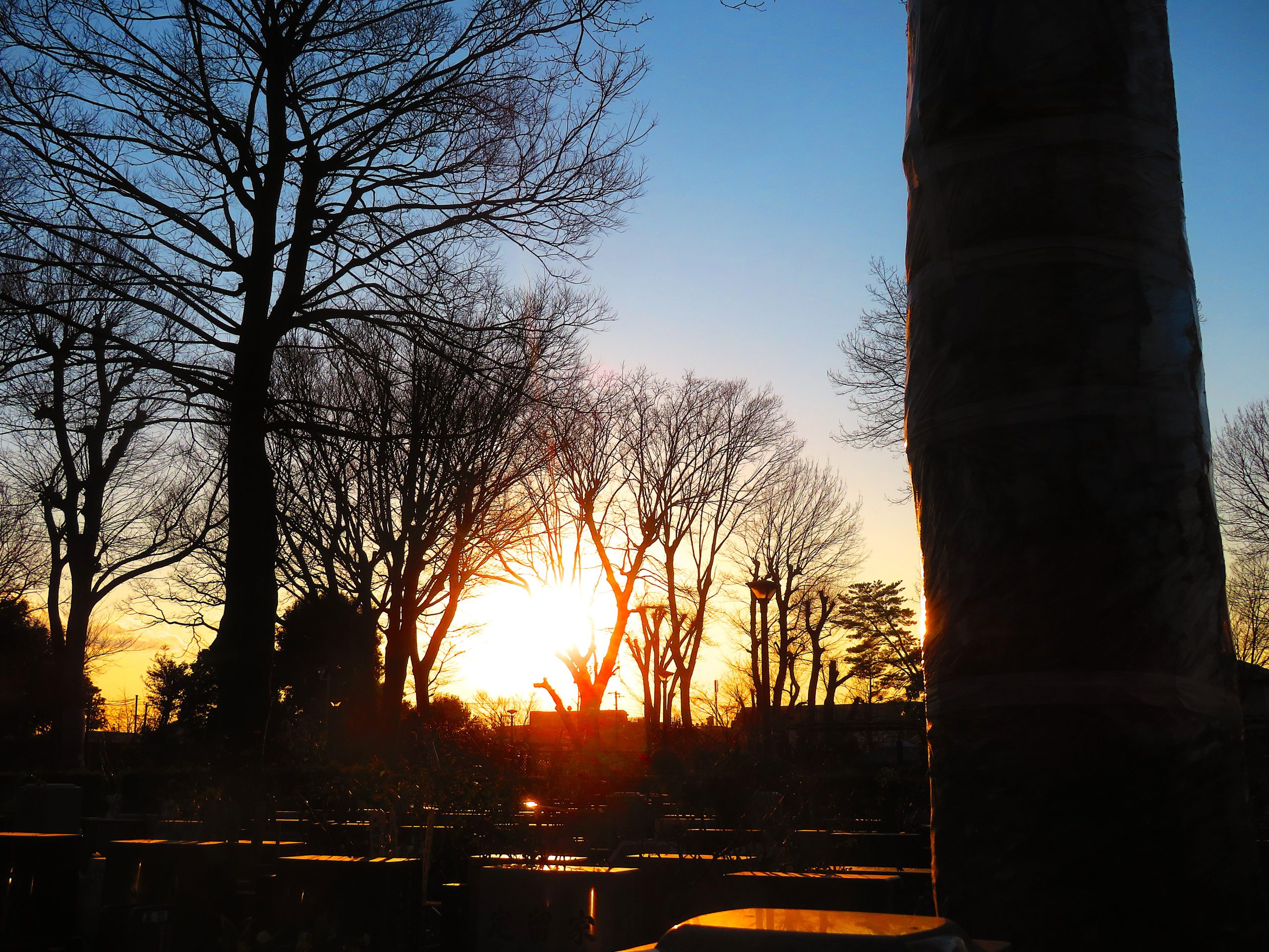 🌱2月定休日のお知らせ🌱