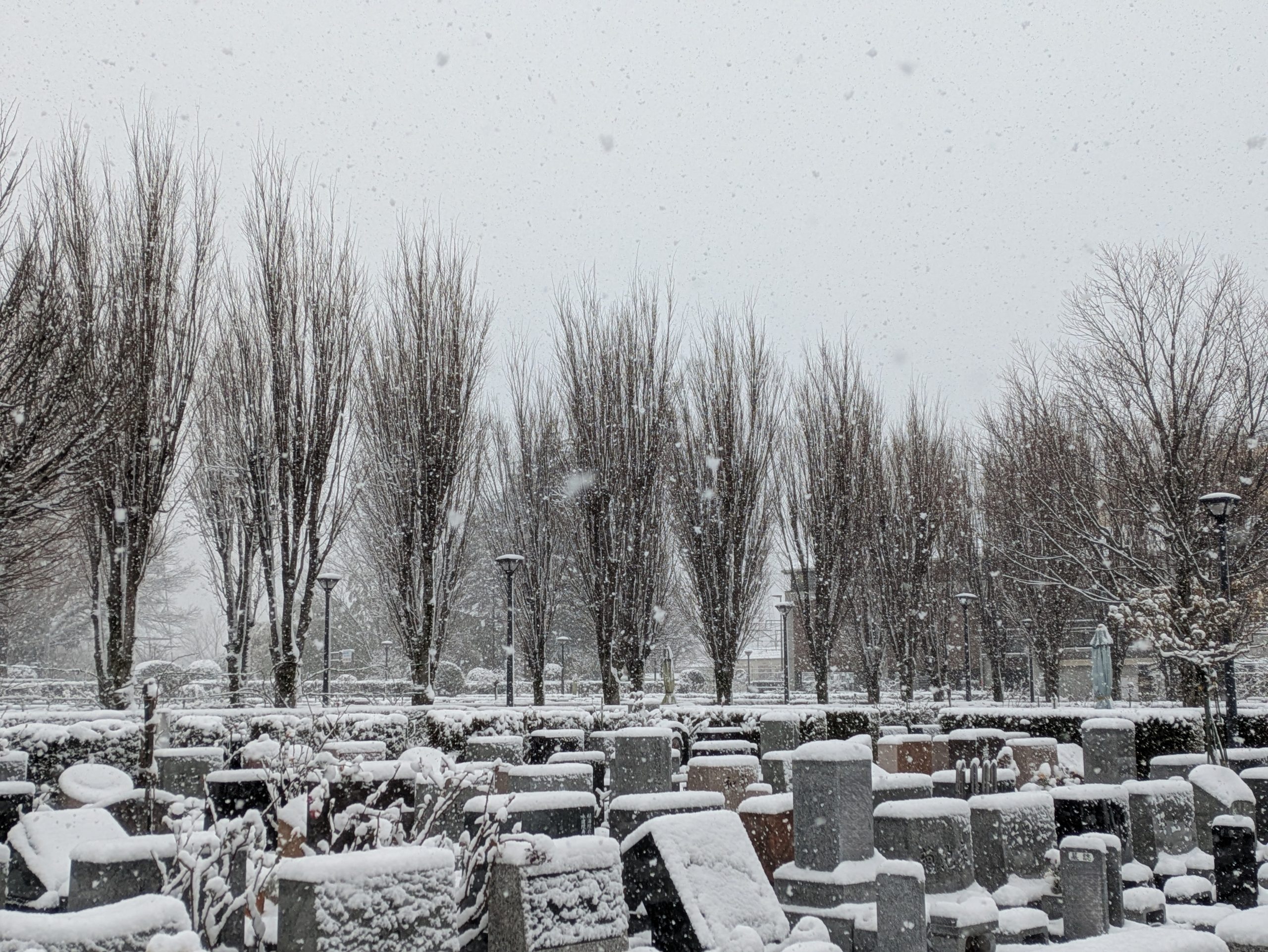 雪⛄降りました～