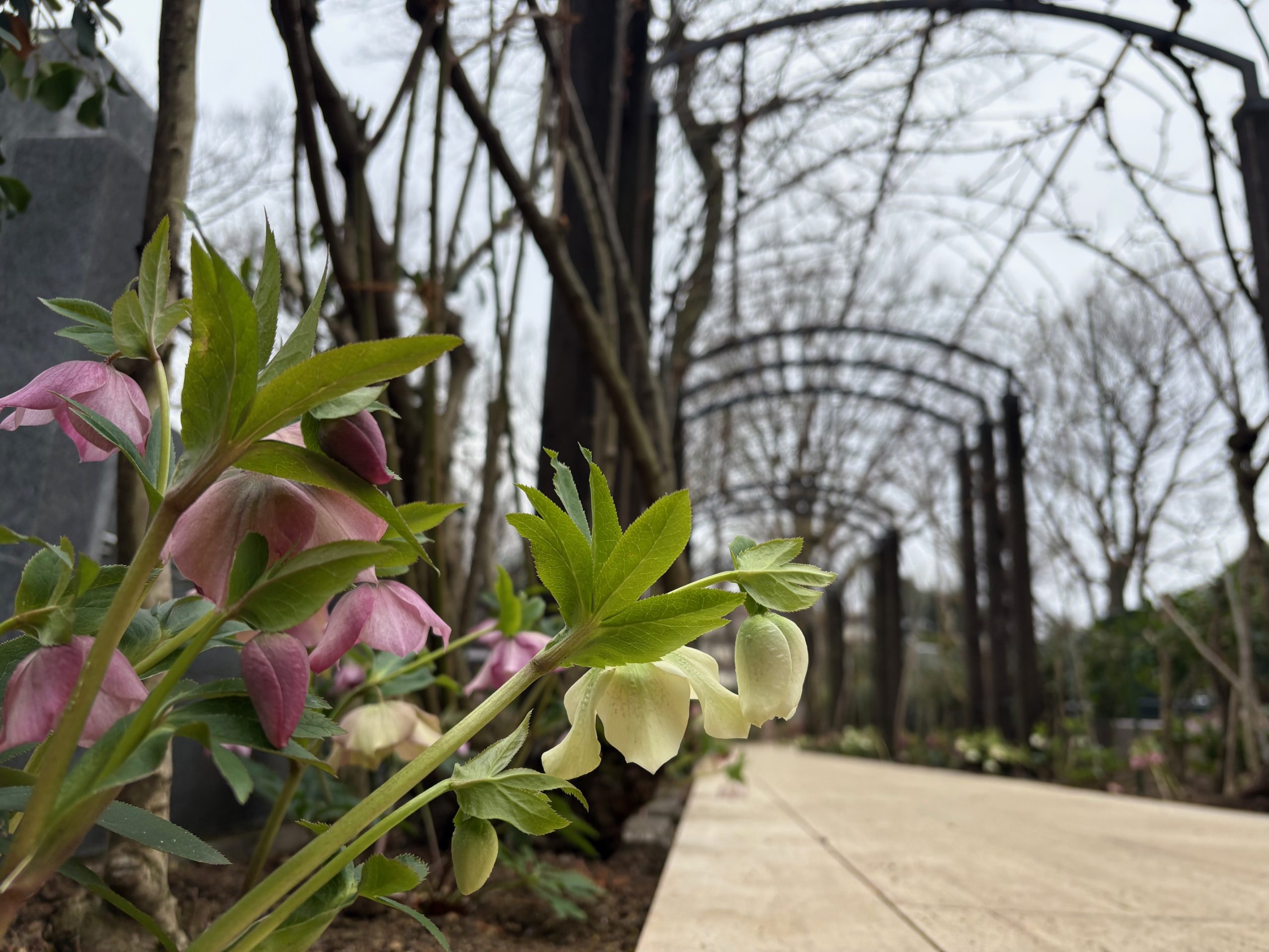 🍣3月定休日のお知らせ🎎