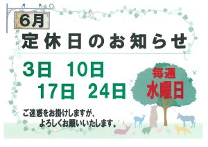 🌹6月の定休日のおしらせ🌹