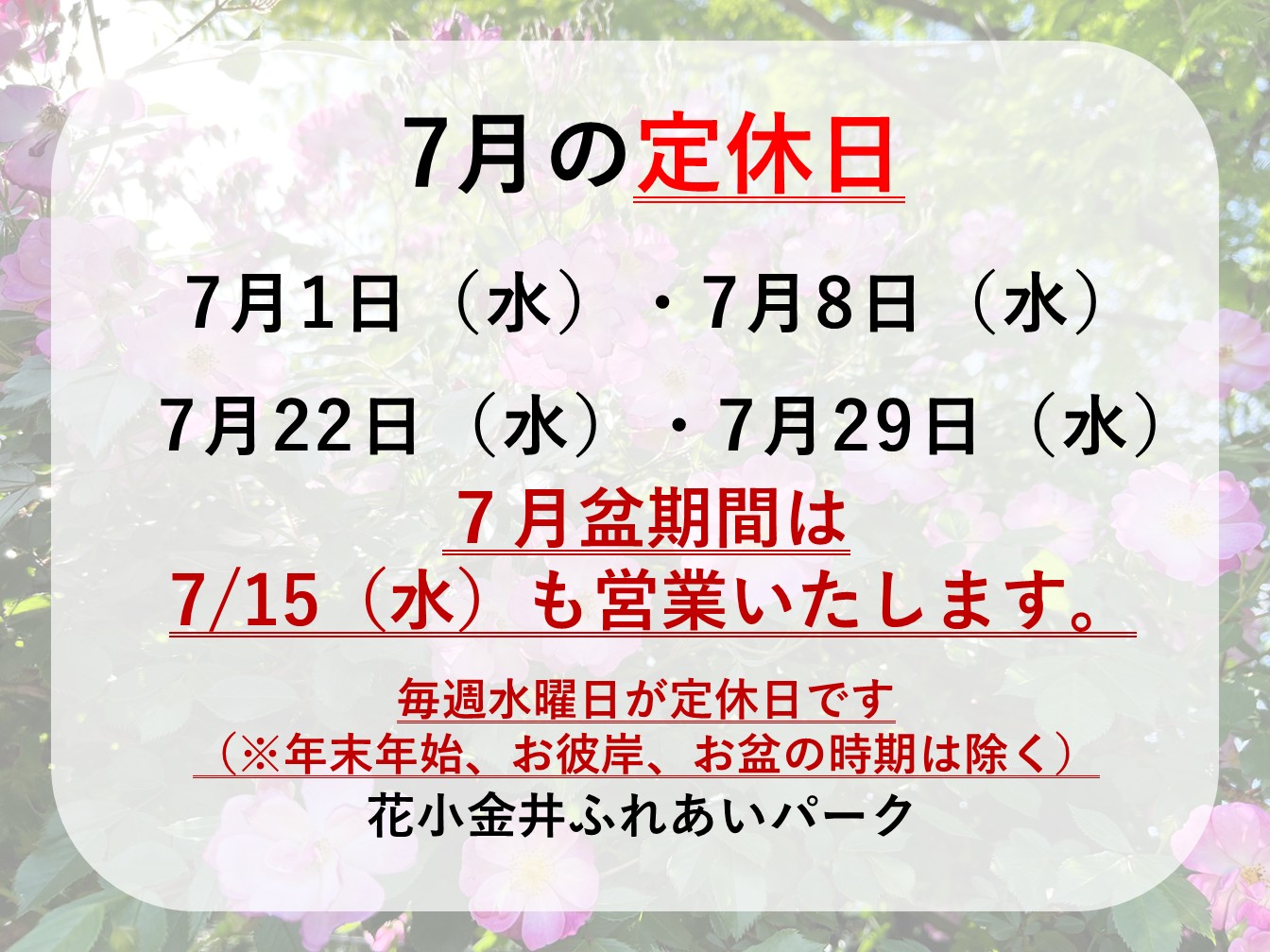 ☔７月定休日のお知らせ☔