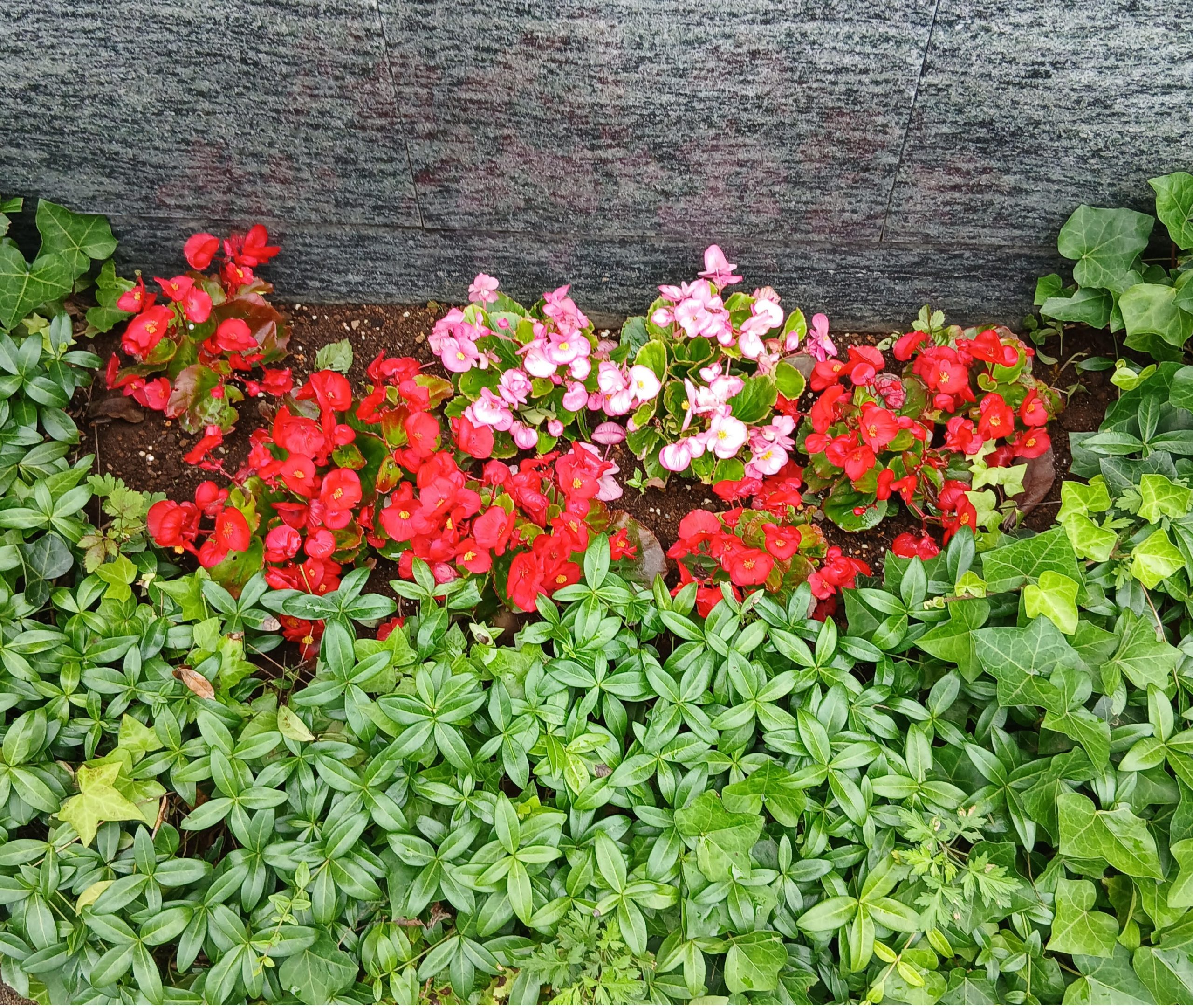 🌻7月の定休日のお知らせ🌻