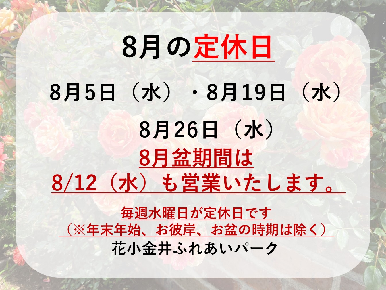 🌞8月定休日のお知らせ🍉