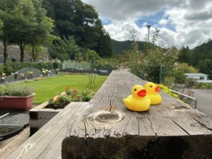 大施餓鬼会