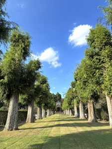 冬季営業時間と、10月の定休日について